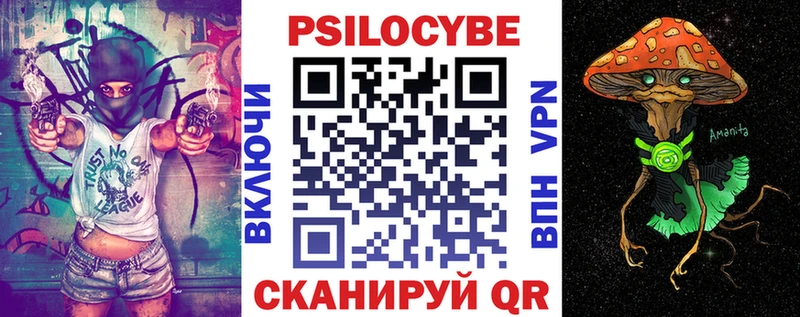 Купить закладки  Полтавская  Галлюциногенные грибы Psilocybine cubensis 